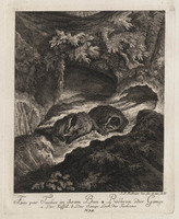 KG 01077
          <br/>
          Entwurf einiger Thiere. Fünfter Theil. (18 bladen)
          <br/>
          <em>Ridinger, Johann Elias (1698-1767)</em>